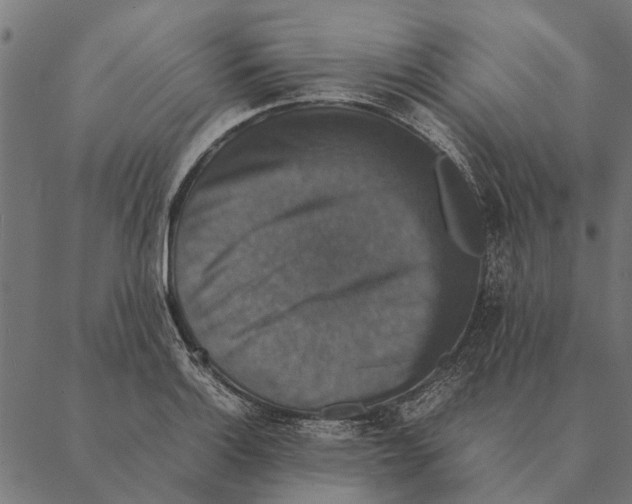 X0000087331132200705181029