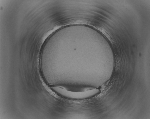 X0000087331134200705181029