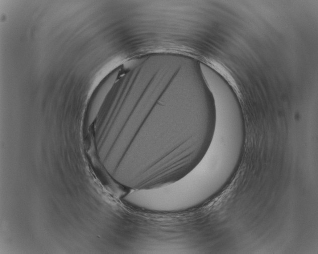 X0000087331138200705181029