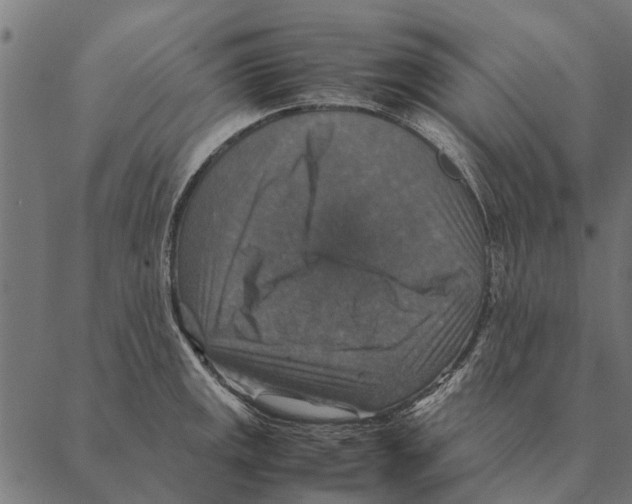 X0000087331141200705181029