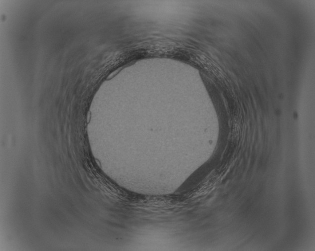 X0000087331153200705181029