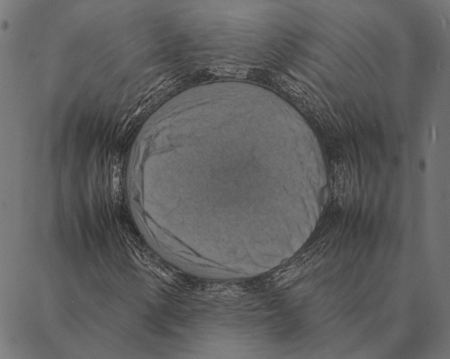 X0000087331154200705181029