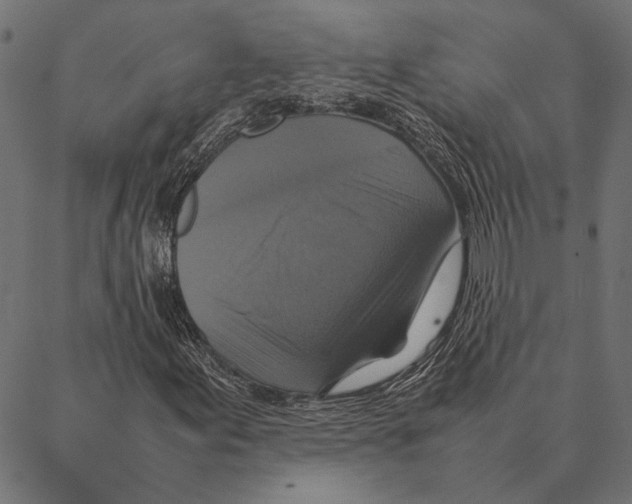 X0000087331155200705181029