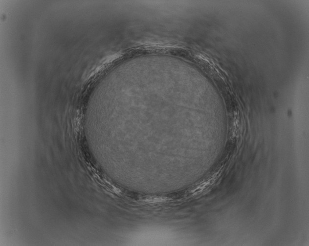 X0000087331157200705181029
