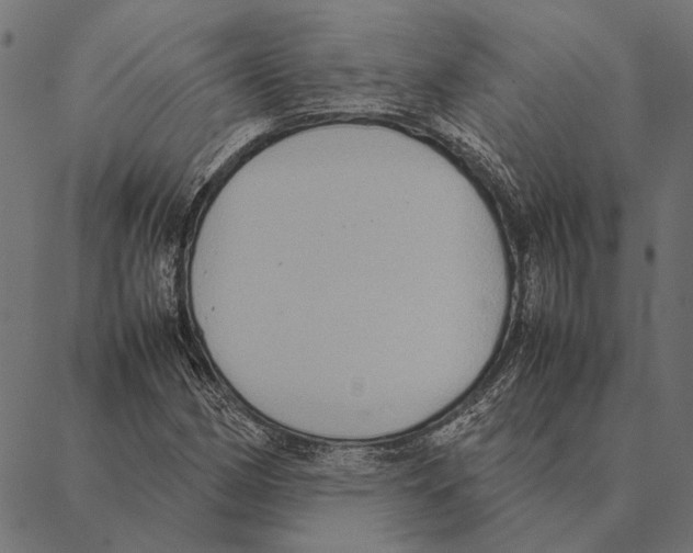 X0000087331162200705181029