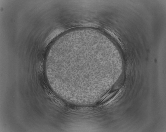 X0000087331163200705181029