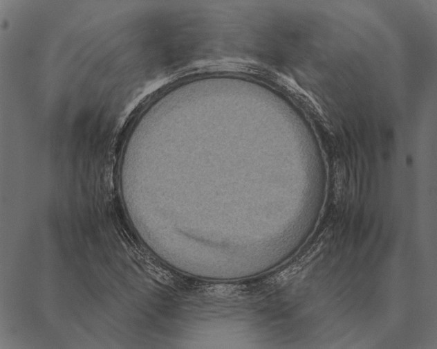 X0000087331166200705181029