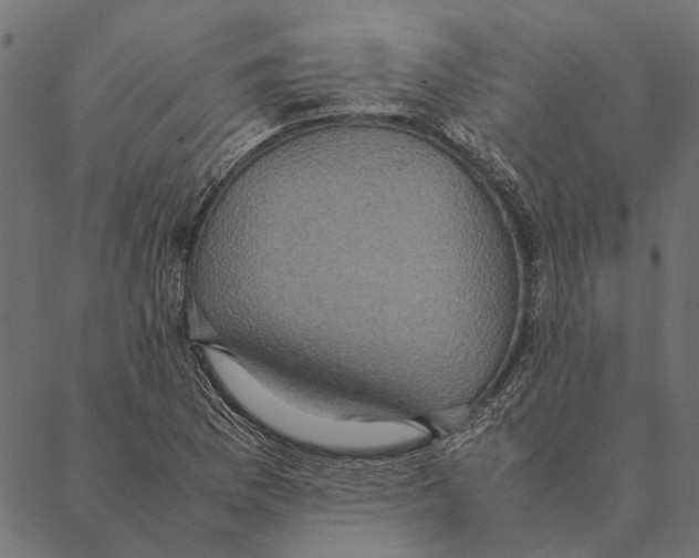 X0000087331169200705181029