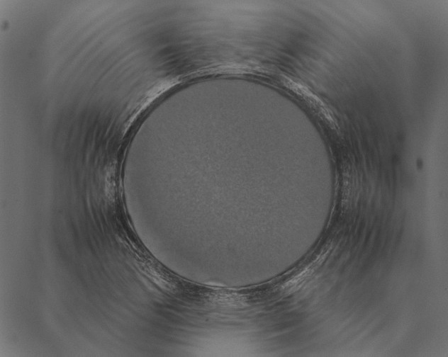 X0000087331170200705181029