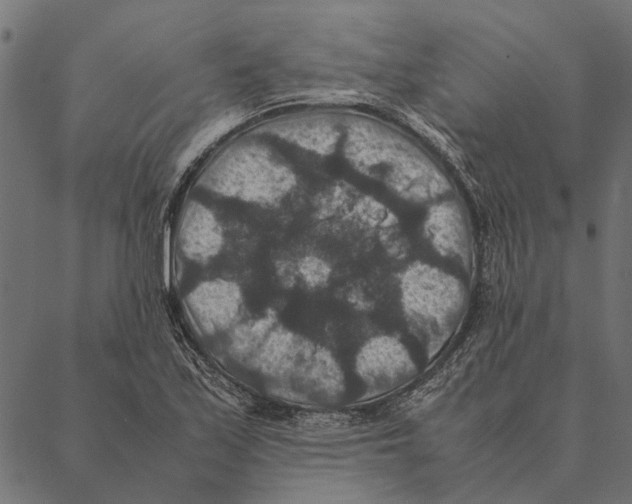 X0000087331171200705181029