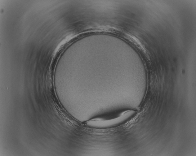 X0000087331172200705181029