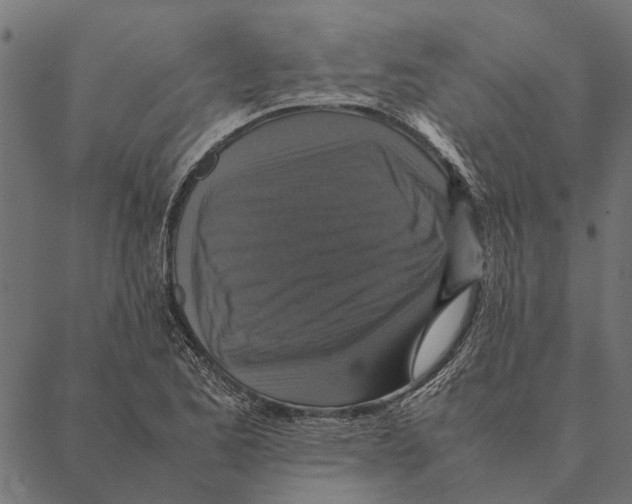 X0000087331173200705181029