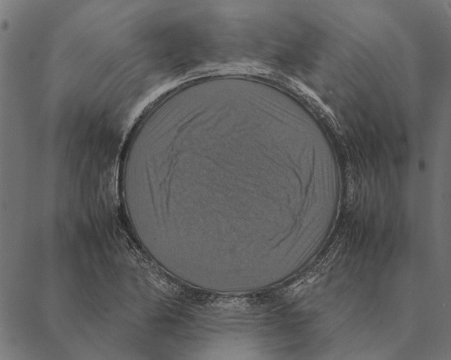 X0000087331174200705181029