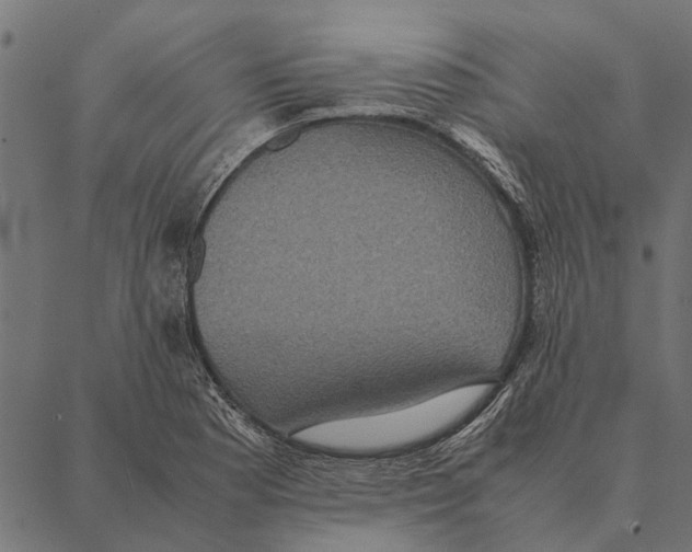 X0000087331177200705181028