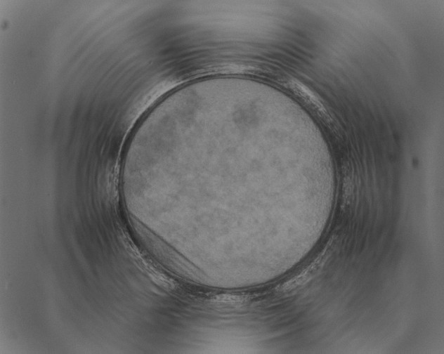 X0000087331178200705181028