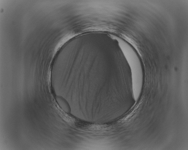 X0000087331179200705181028