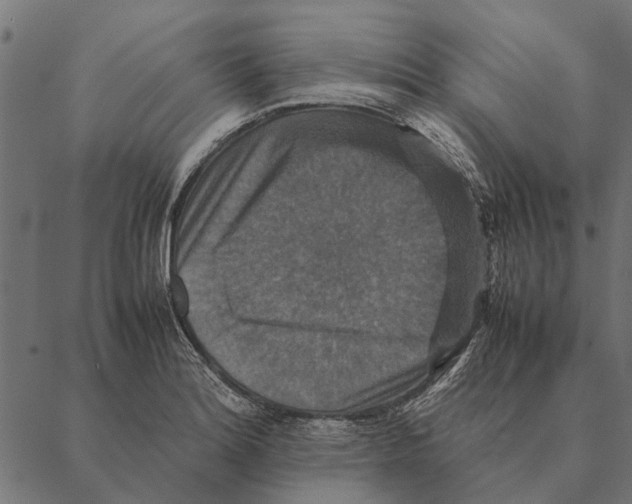 X0000087331180200705181028