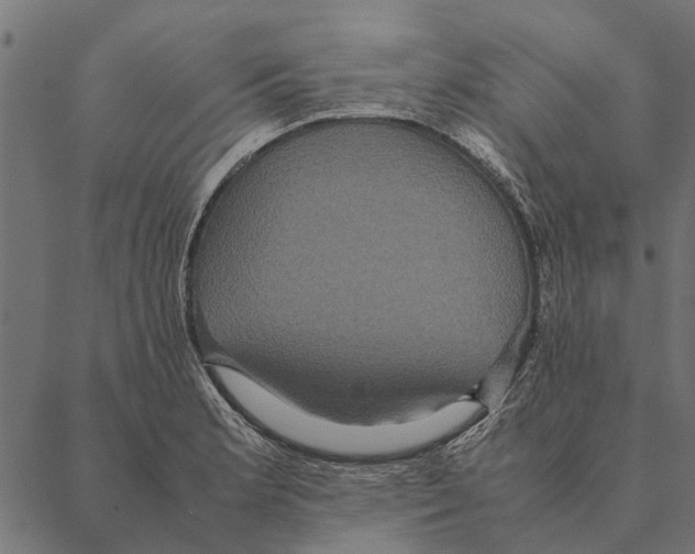 X0000087331181200705181028