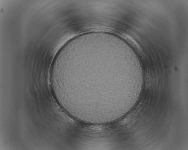 X0000087331182200705181028