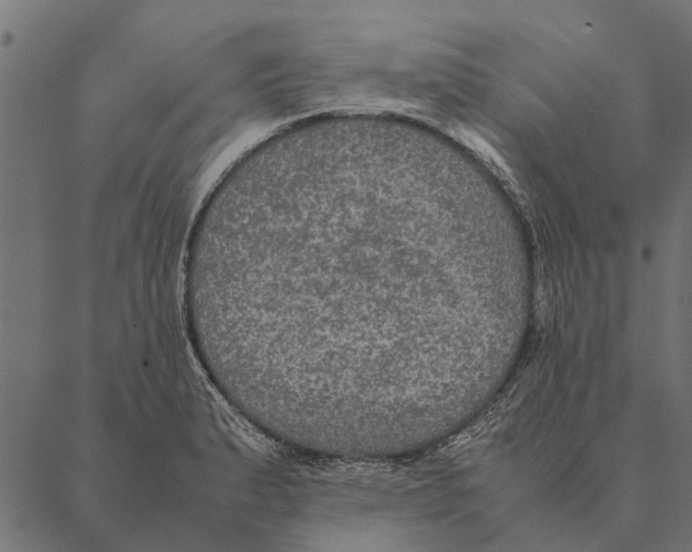 X0000087331183200705181028