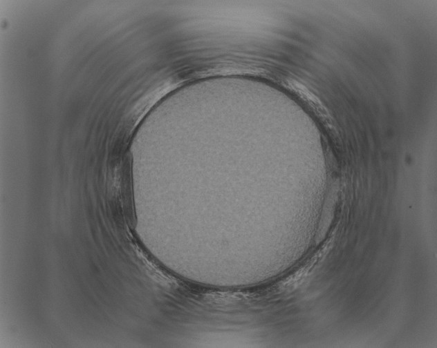 X0000087331185200705181028