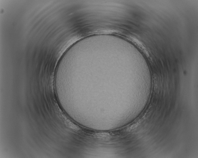 X0000087331186200705181028