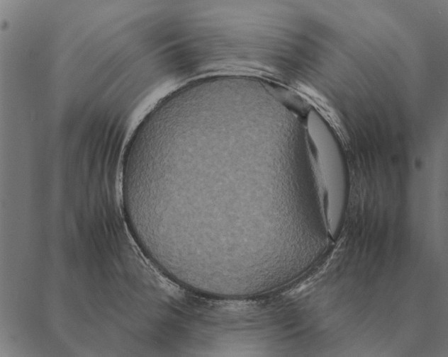 X0000087331188200705181028