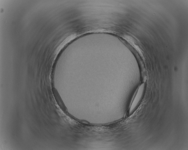 X0000087331189200705181028