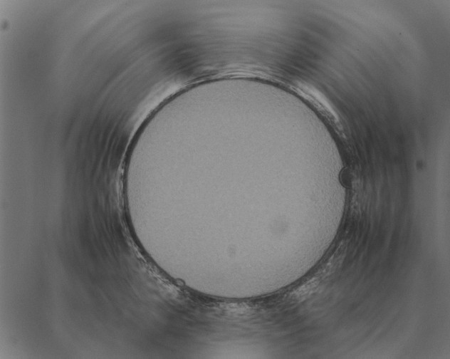 X0000087331190200705181028