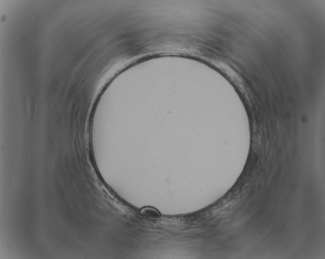 X0000087331191200705181028