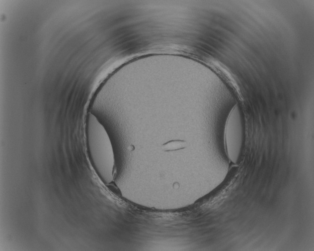 X0000087331192200705181028