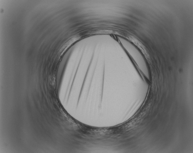 X0000087331193200705181028