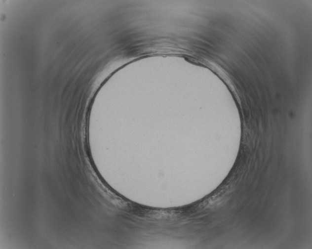 X0000087331195200705181028