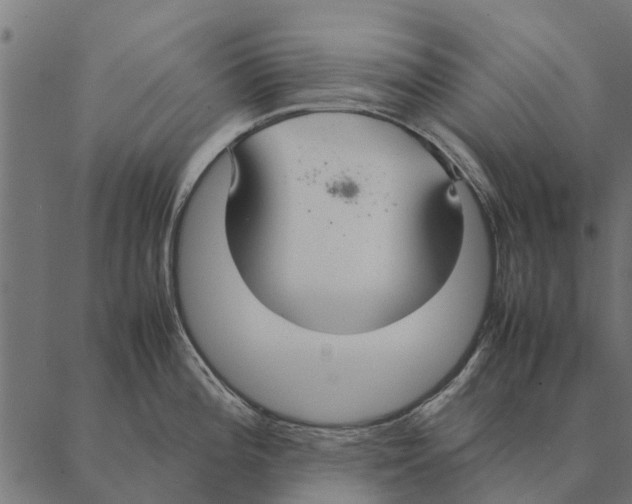 X0000087331196200705181028