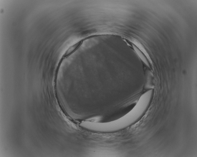 X0000087331197200705181028