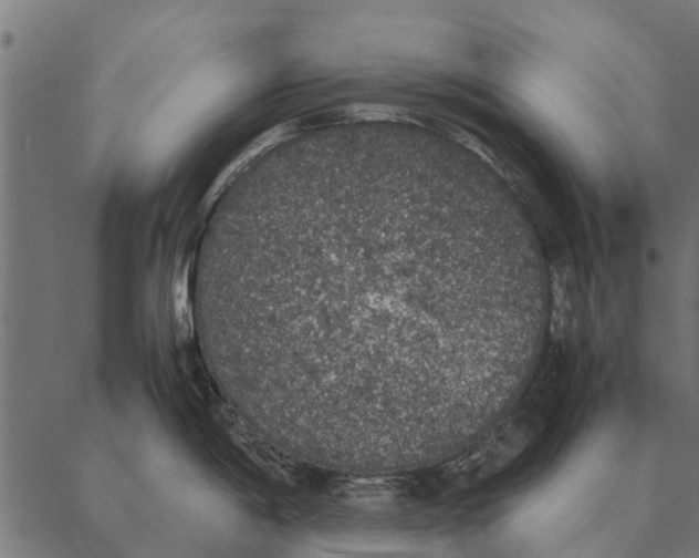 X0000087331198200705181028