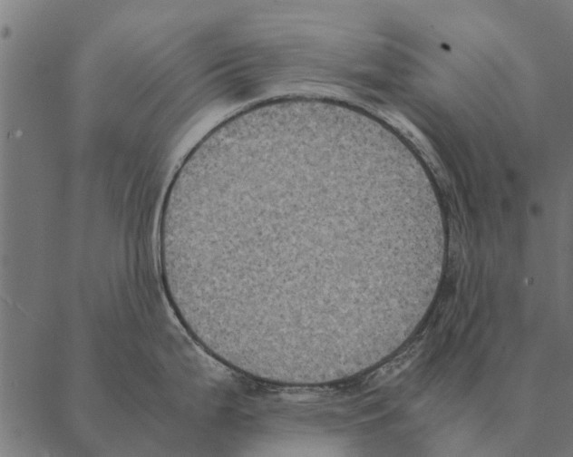 X0000087331199200705181028