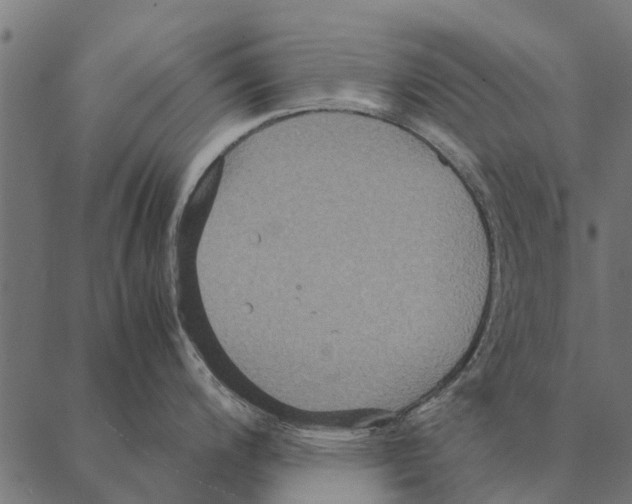 X0000087331200200705181028