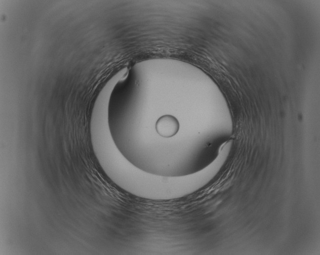 X0000087331202200705181027