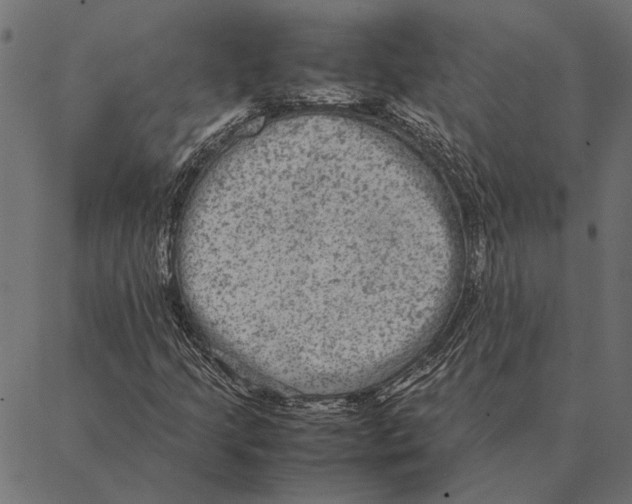 X0000087331205200705181027