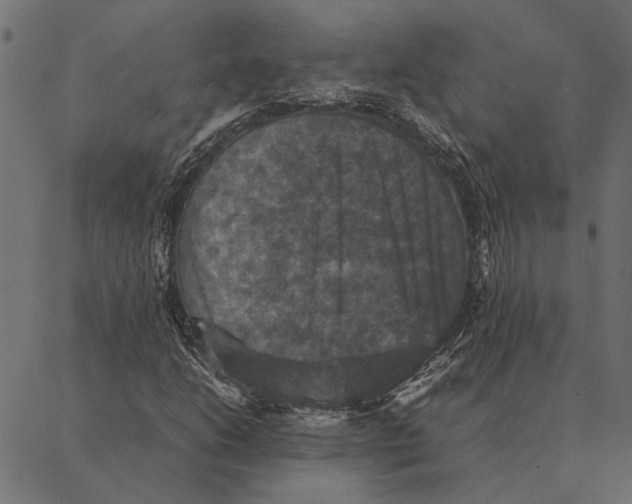 X0000087331206200705181027