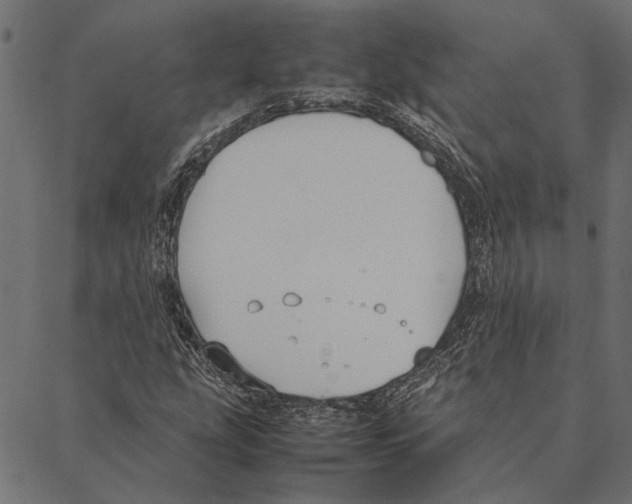 X0000087331207200705181027