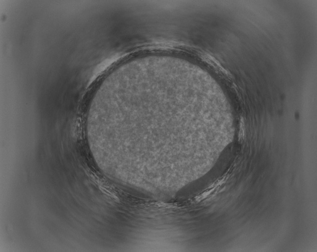 X0000087331208200705181027