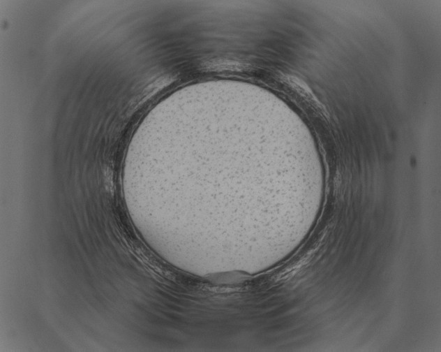 X0000087331209200705181027