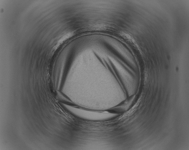 X0000087331210200705181027