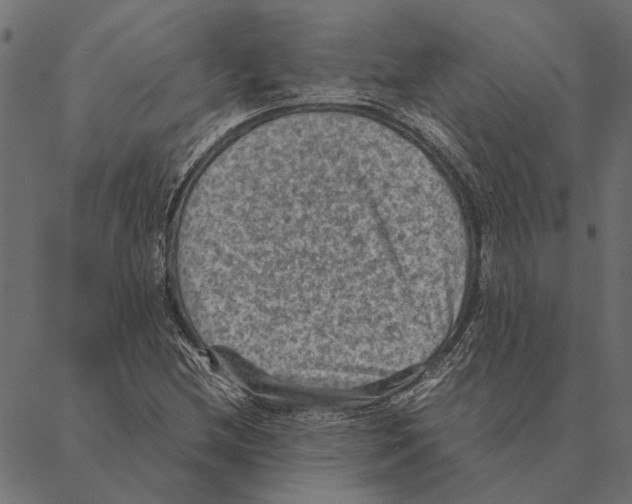 X0000087331212200705181027