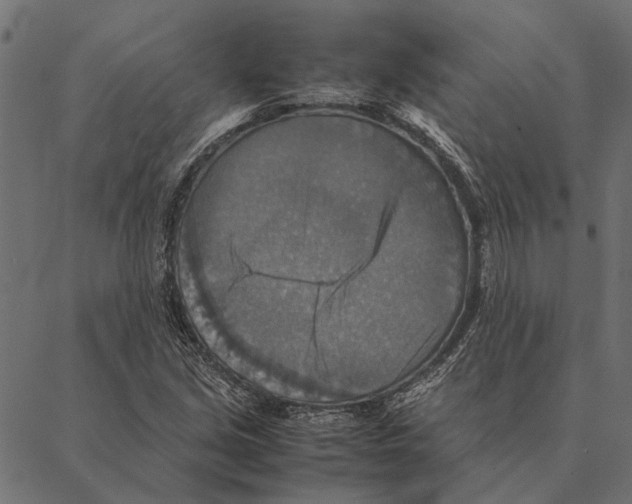 X0000087331213200705181028