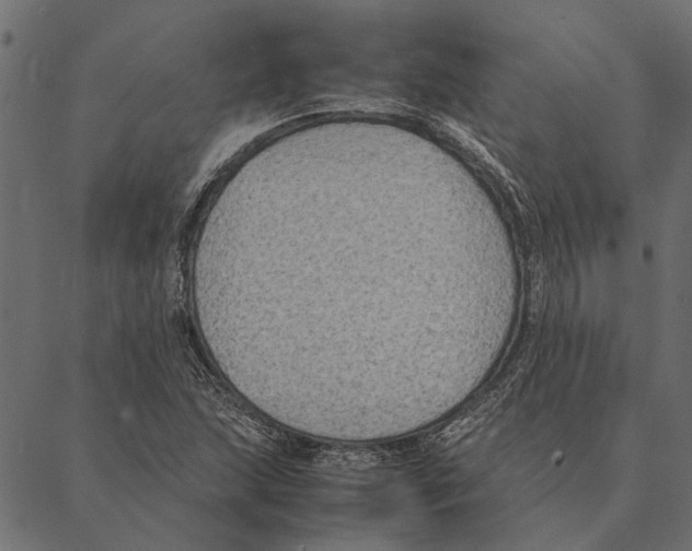 X0000087331215200705181028