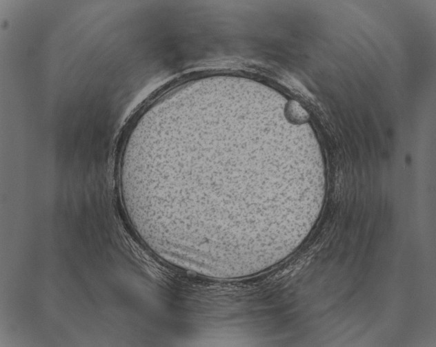 X0000087331216200705181028