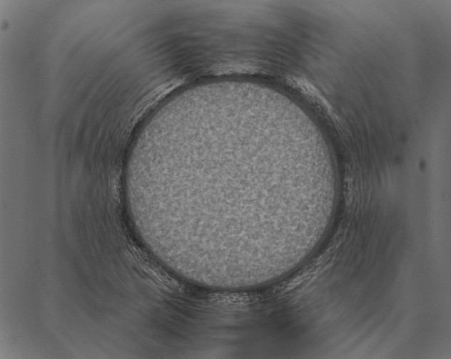 X0000087331217200705181028